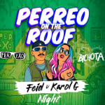 Perreo on the Roof - Feid v Karol G Bichota Party Reggaeton Rooftop