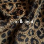 Candlelight: 90s Hip-Hop on Strings