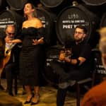 Porto: Fado Show + Port Wine Tasting at Quinta da Boeira