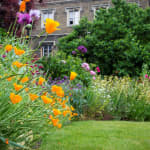 Open Garden Evenings