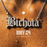 Bichota - Perreo, all girl DJ's (21+)