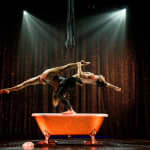 Paradis Latin : soirée VIP dîner cabaret et spectacle