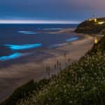 Bioluminescence Kayak Tour - Est. 1994