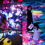 Mirror Mirror + Digital Light Canvas Bundle
