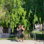 Retiro de Yoga "Raíces y Alas" – Un retiro para volver a ti