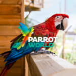 Parrot World: Annual Passes