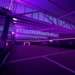 Alquiler de campo LaLiga Stadium