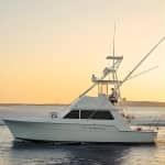 6 Hour Family Fun Fishing Charter on a 42’ Sportfish ,Alibi