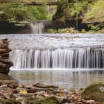 Yellow Springs Mystery Picnic: Self-Guided Foodie Adventure