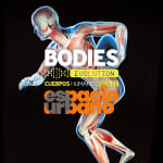 Bodies Evolution - Antofagasta