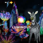 Luminous Show - Blumenau