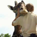 Franklin Park Zoo: Entry Ticket