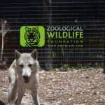 Zoological Wildlife Foundation Miami