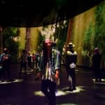 American Museum of Natural History (AMNH): Plus One Ticket
