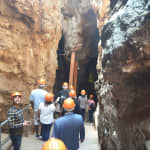 Cradle of Human Kind Tour and Lesedi Cultural Village Day Tour 
