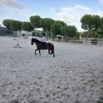 Rutas a caballo en la Escuela de Henry