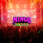 Mingo Bingo: The Wildest Glow-in-the-Dark Bingo Party