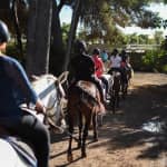 🐎 Aventura a Caballo en Alcudia – ¡1 hora de Naturaleza y Diversión con Click Mallorca! 🌿