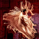 ﻿Flamenco de Leones, Madrid
