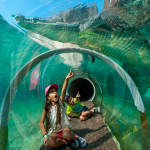 Skip the Line: Zoo Miami Ticket