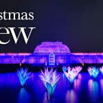 Christmas at Kew - Waitlist