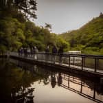 Zealandia - Twilight Guided Eco Wildlife Tour