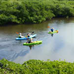 Kayaking the Canals of Venice, FL