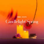 Candlelight Spring: Ed Sheeran vs. Coldplay
