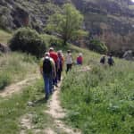 Heritage Sundays: The Elephant Trail