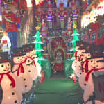 Brooklyn Christmas Lights Walking Tour at Dyker Heights