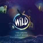 WILD: The Drone Light Show