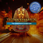 Tutankhamun: The Immersive Exhibition - Waitlist