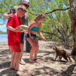 Boat Safari to Raccoon Island