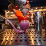 Degustación de cócteles