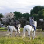 Paseos a caballo