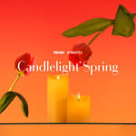 Candlelight Spring: Ed Sheeran vs Coldplay