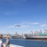 San Diego Harbor: 2-Hour Cruise with Live Guide