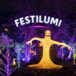Festilumi
