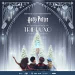 Harry Potter™: Um Grande Baile Tribruxo - Lista de espera