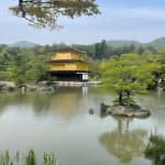 Discover Kyoto by Bike Full Day Tour