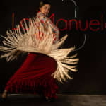 Tablao La Manuela: Flamenco Show