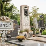 Wien: Wiener Zentralfriedhof Geführter Rundgang