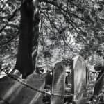 Requiem for Salem Walking Ghost Tour