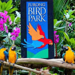 Jurong Bird Park Ticket
