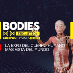 Exposición Bodies Estepona
