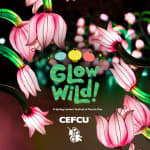 Glow Wild Festival - Waitlist