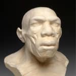 Musée de l’Homme: Billet coupe-file