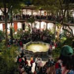 Noche del Franz | Mayo 2026
