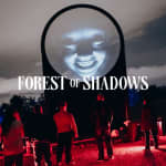 Forest of Shadows: An Immersive Dark Tale