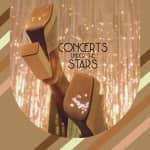 ABBA Under The Stars at the Minneapolis Marriott City Center